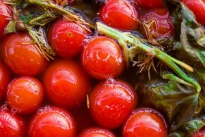 Як засолити помідори