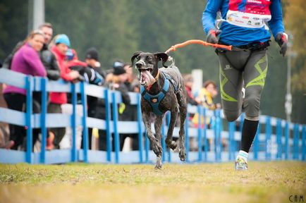 Cani Kereszt - jogging kutyával