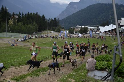 Cani Kereszt - jogging kutyával