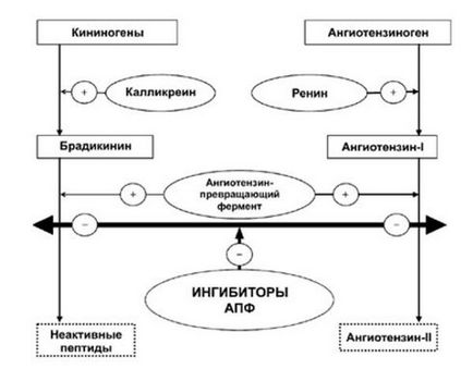 Captopril acos instrucțiuni pentru utilizarea la ce presiune