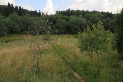 Kindyakovsky kő az erdőben jesters rejtélyek és legendák