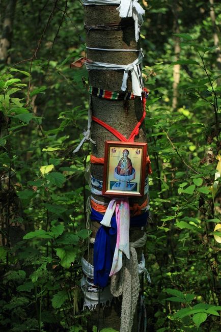 Кіндяковскій камінь в Шутова лісі загадки і легенди