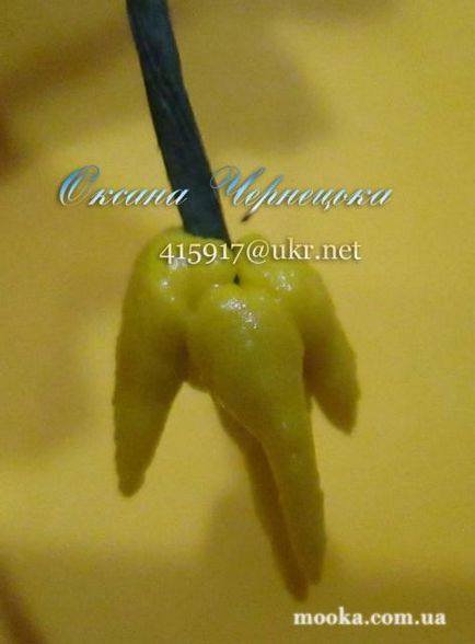 A spikelets jegesedés - jegesedés, sugarveil, mágikus dekoráció, stb - kulináris fórum liszt (jegesedés nélkül) Spikelets jegesedés - jegesedés, sugarveil, mágikus dekoráció, stb - főzés fórum liszt