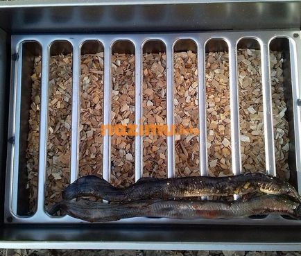 Füstölt lamprey - üres fotó recept