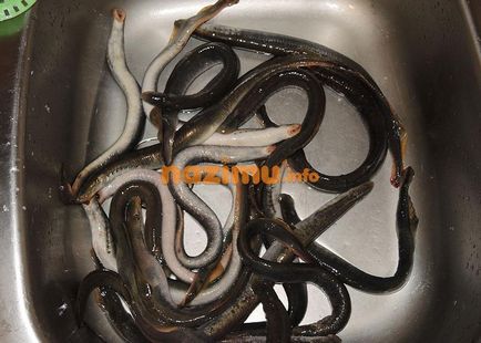 Füstölt lamprey - üres fotó recept