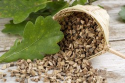 Oak kéreg hyperhidrosis (kéreg) Tölgyfa kérge izzadás