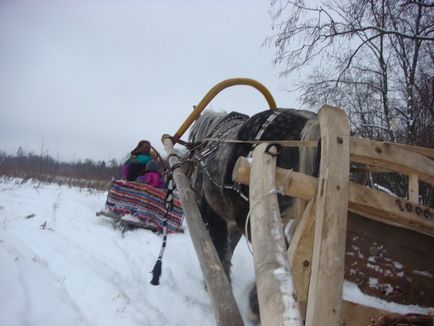 Кріплення оглобель до саней