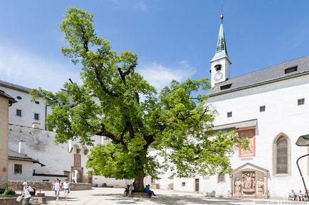 Cetatea Hohensalzburg 1