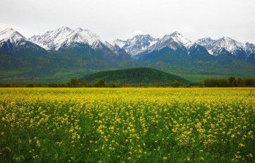 Курортна бальнеологічна лікарня (Кбл) - Нілова пустель