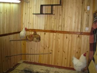 Téli tyúkól tervek, méretek, az építőipar, feltétel baromfi (tyúkól) Téli tyúkól tervek, méretek, az építőipar, állapota baromfi