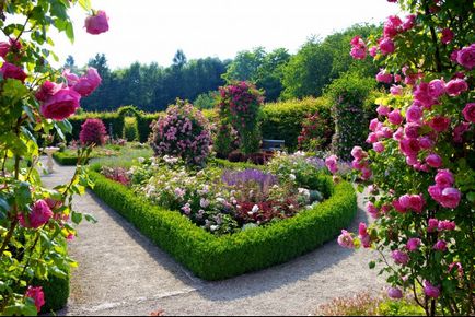 Designul de peisaj al fotografiilor - exemple de lucrări ale unei grădini, un sit, parcuri