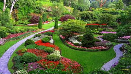 Designul de peisaj al fotografiilor - exemple de lucrări ale unei grădini, un sit, parcuri