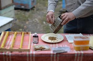 Лікування туберкульозу гасом і прополісом