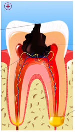 Stomatologie - centru oftalmologie