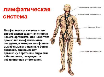 Лімфодренажна прокачування