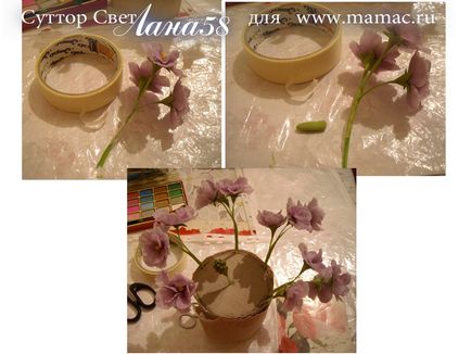 Pagina lui Mama - interese, creativitate, hobby - violete din porțelan rece