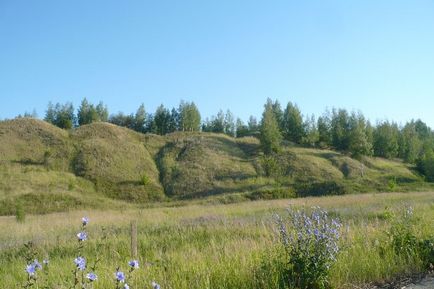 Calea zilei în cartierul Nuzhniy - blog - gulbary