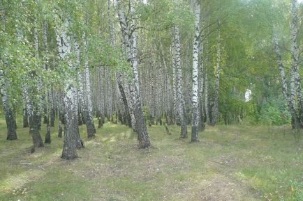 Маршрут вихідного дня Вузловський район - блог - гульбарій