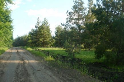 Calea zilei în cartierul Nuzhniy - blog - gulbary