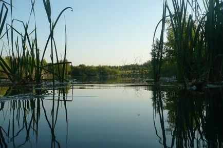 Calea zilei în cartierul Nuzhniy - blog - gulbary