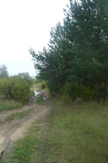 Маршрут вихідного дня Вузловський район - блог - гульбарій