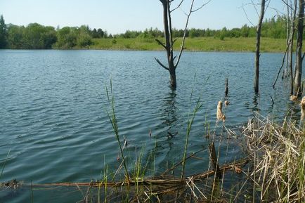 Маршрут вихідного дня Вузловський район - блог - гульбарій