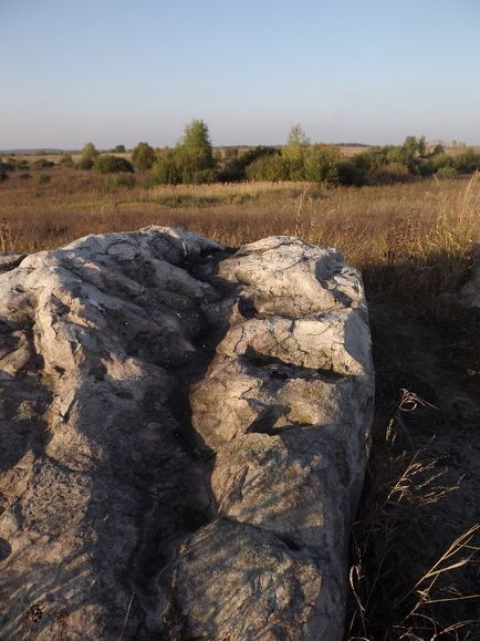 Calea zilei în cartierul Nuzhniy - blog - gulbary