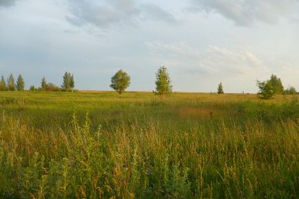 Calea zilei în cartierul Nuzhniy - blog - gulbary