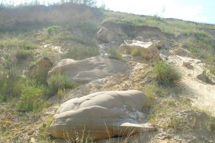 Calea zilei în cartierul Nuzhniy - blog - gulbary