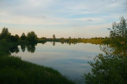 Calea zilei în cartierul Nuzhniy - blog - gulbary