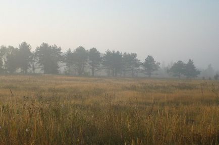 Маршрут вихідного дня Вузловський район - блог - гульбарій