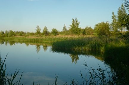 Маршрут вихідного дня Вузловський район - блог - гульбарій