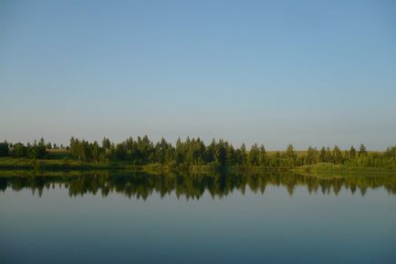 Calea zilei în cartierul Nuzhniy - blog - gulbary