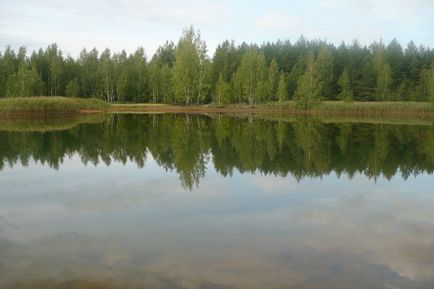 Маршрут вихідного дня Вузловський район - блог - гульбарій