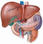 Centrul Medical Levinshtein - Reabilitare în Israel