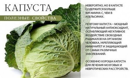 Медова корж як ефективний народний засіб від кашлю у дітей рецепти, протипоказання,