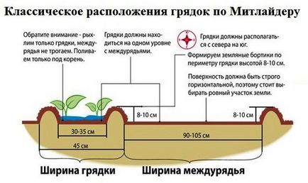 Metoda de măturători de cartofi de la plantare la recoltare