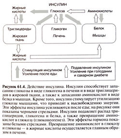 Механізми дії інсуліну