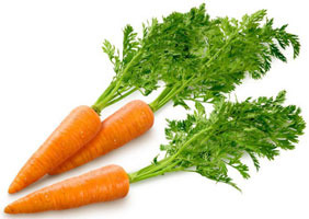 Морква посівна - цілющі властивості моркви