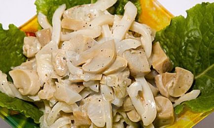 Mâncăruri de mare squid mâncare sănătoasă