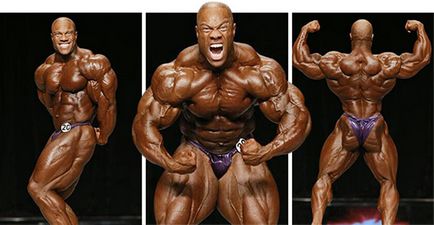 Mr olympia 2013 враження і емоції - зожнік