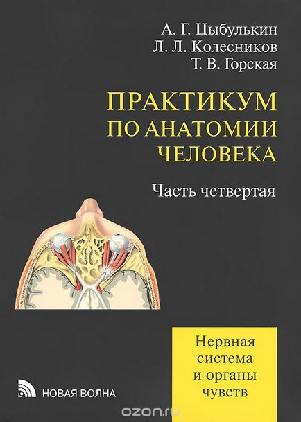 Нервова індукція це що таке нервова індукція визначення