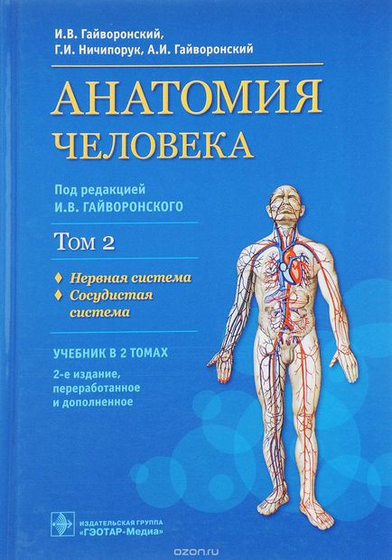 Нервова індукція це що таке нервова індукція визначення