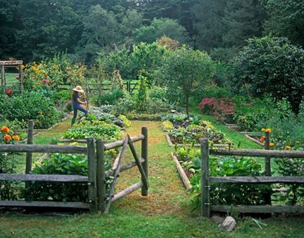 Noua lege va forța rezidenții de vară să restaureze ordinea în grădini și grădini