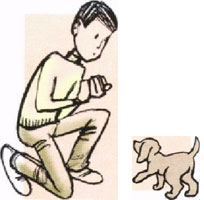 Olló, olló, és körömvágó vágására karmok kutyák - 12 obezyan