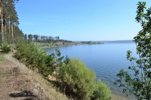 Обское море (новосибірське водосховище) фото, опис