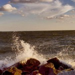 Обское море (новосибірське водосховище) фото, опис