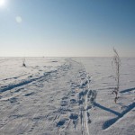 Ob Sea (Novosibirsk Reservoir) fotografie, descriere