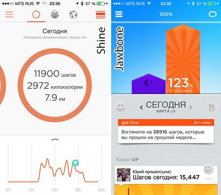 Áttekintés elbűvölő Sports Tracker misfit ragyog