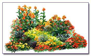 Decorarea de paturi de flori în tonuri de portocaliu design de grădini de grădină de companie a norocului